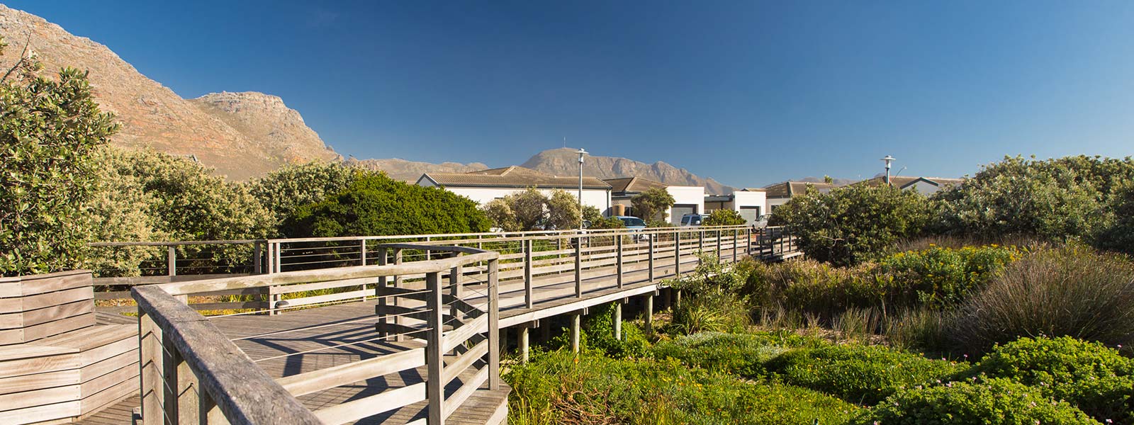 The expansive Evergreen grounds create a sense of space and freedom. Our award-winning boardwalk is set in a lush garden of indigenous plants with benches and walking areas, offering tranquil places to relax and revitalise.