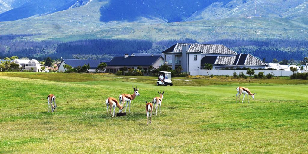 As the multitude of walkers – both adults and children, and many with dogs in tow – took to the five-kilometre route of the Anelda Jacobs fundraising walk on Friday 14 May, Michelle Witts-Hewinson gave us the opportunity to have a first-hand look-see of the sprawling Kingswood Estate.