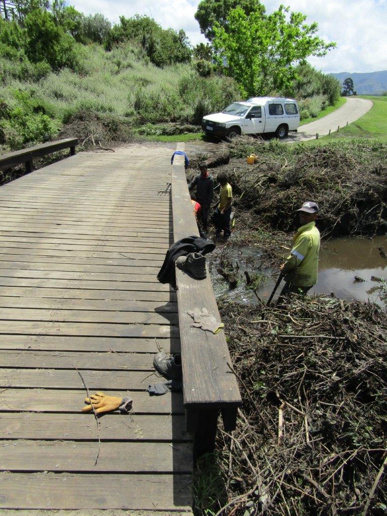 Flood Damage