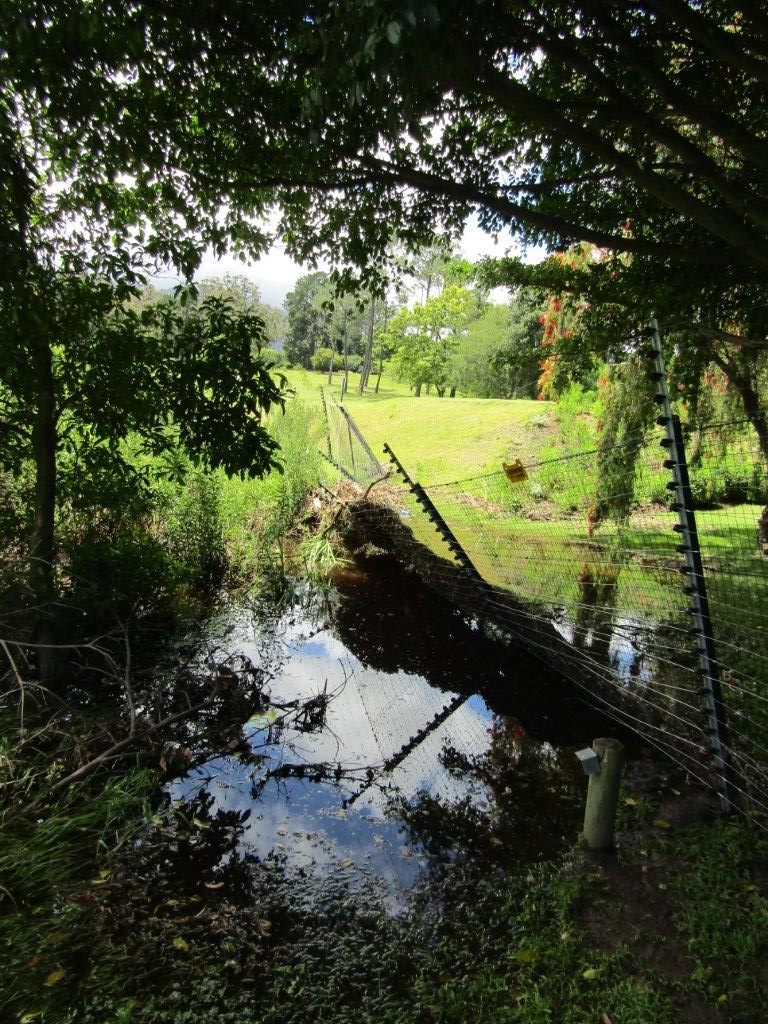 Flood Damage