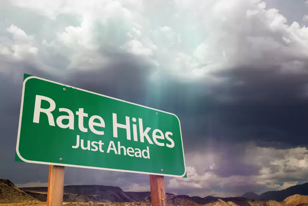 How to cope with the repo rate hike