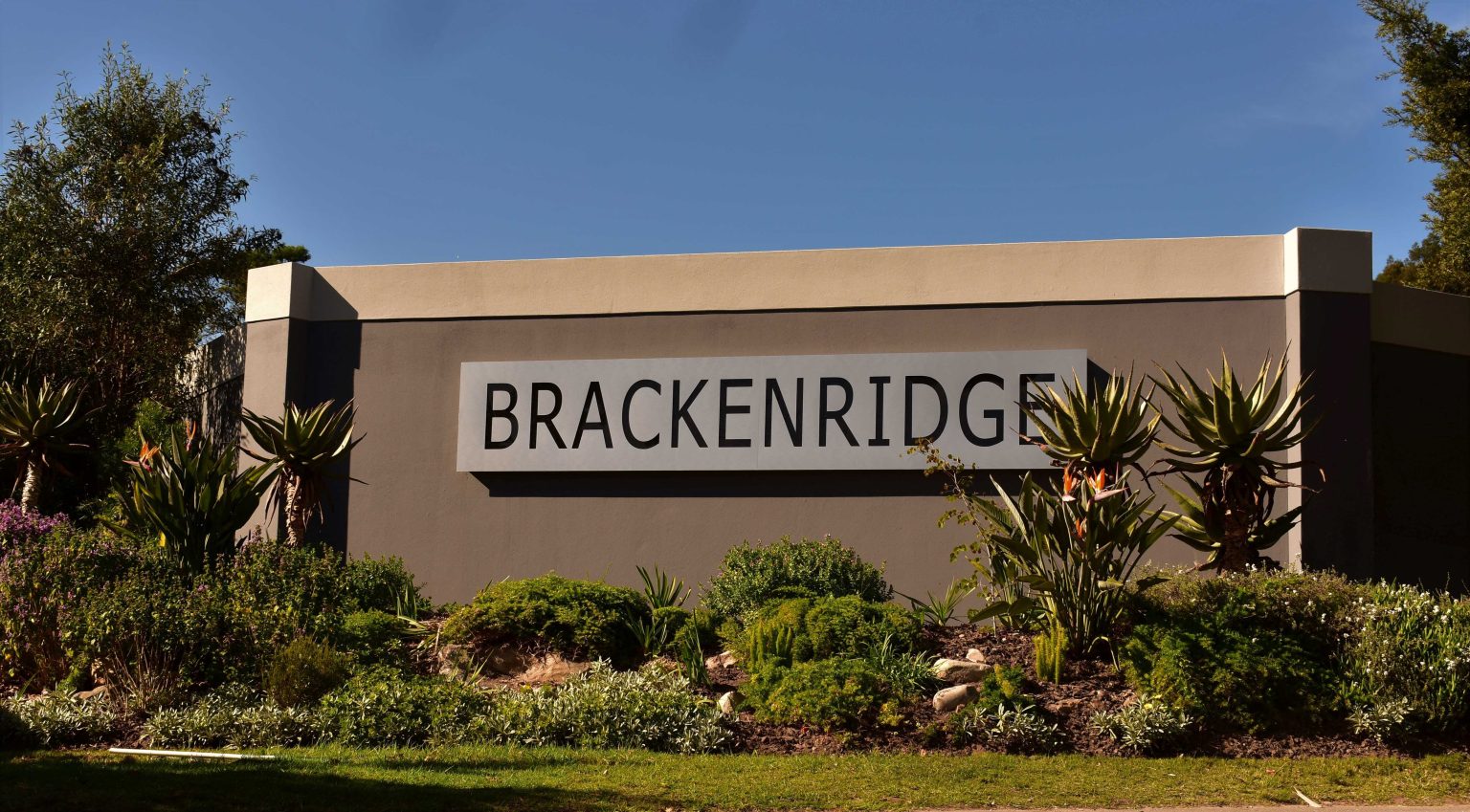 Brackenridge Estate