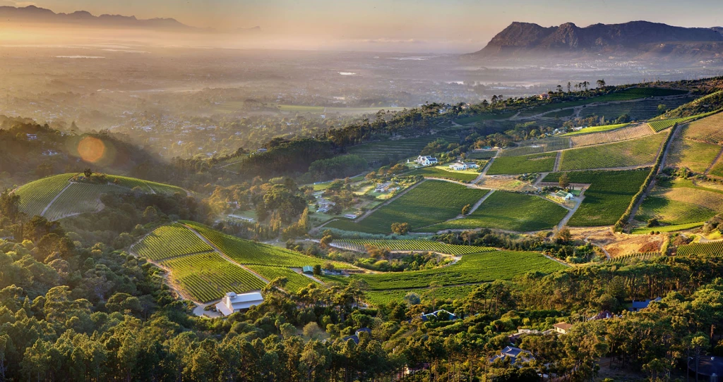 High Constantia Estate