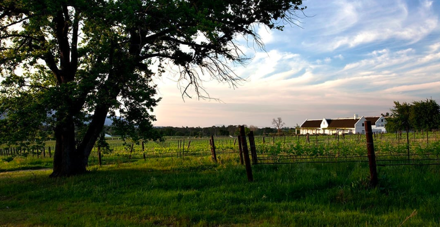 Avondale Wine Estate