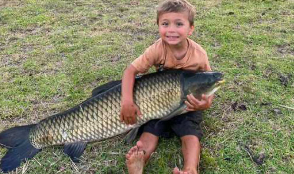 Young angler’s remarkable catch: a tale of triumph and release