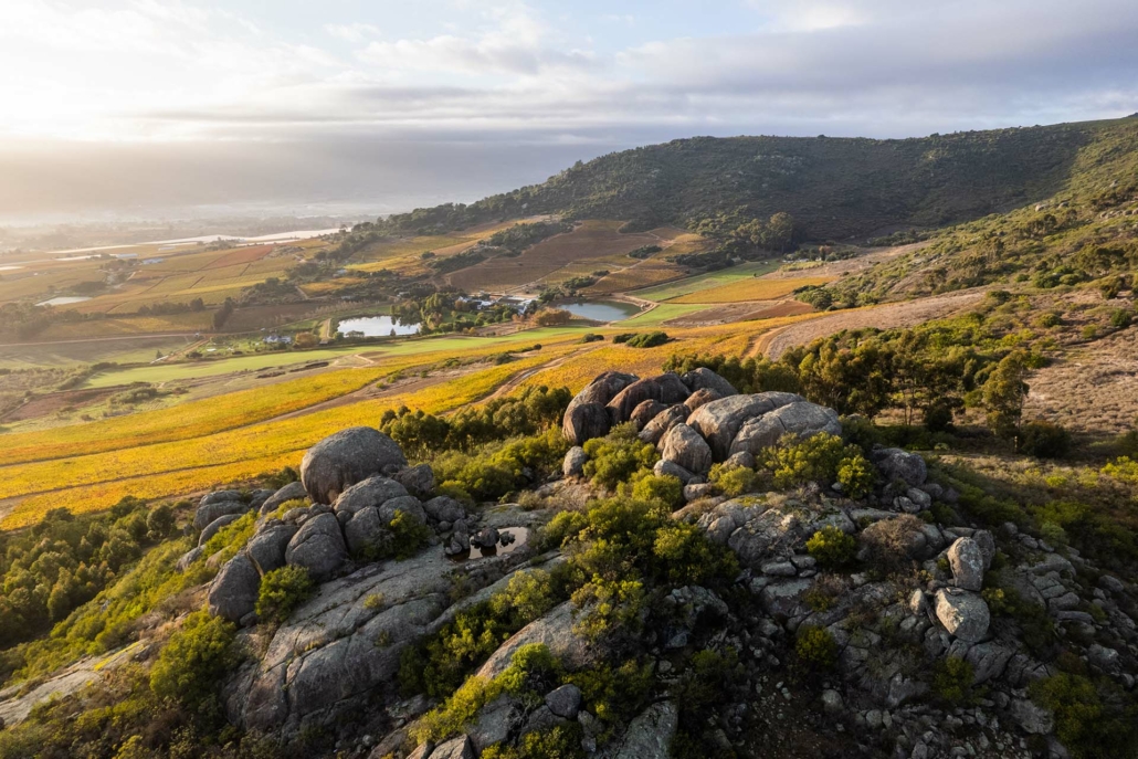 Rhebokskloof Estate