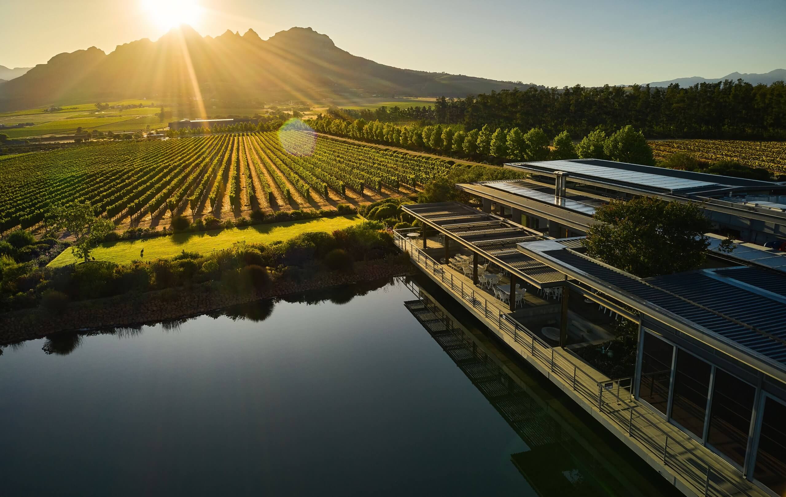 Explore Cavalli Estate, the ultimate destination for wine lovers in the prestigious Helderberg region of Stellenbosch, South Africa.