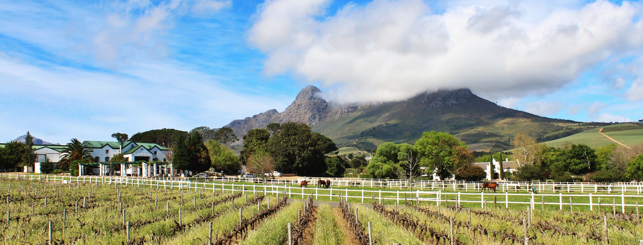 Avontuur Estate